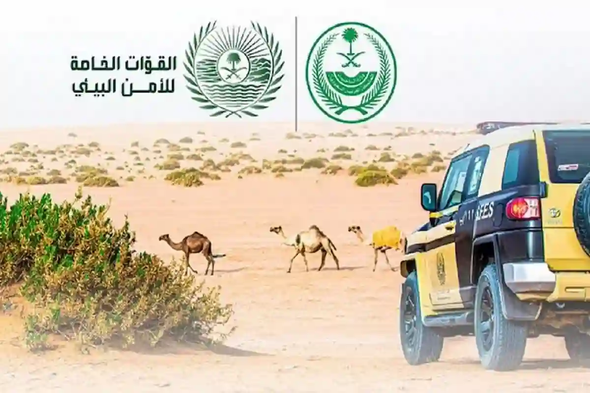 غرامة بأكثر من 60 ألف ريال على مواطن لاستخدام الحطب المحلي في نشاط تجاري