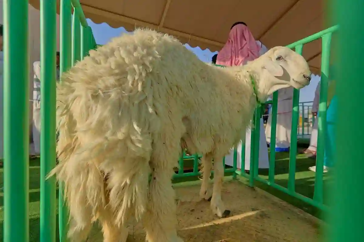 عيد الأضحى