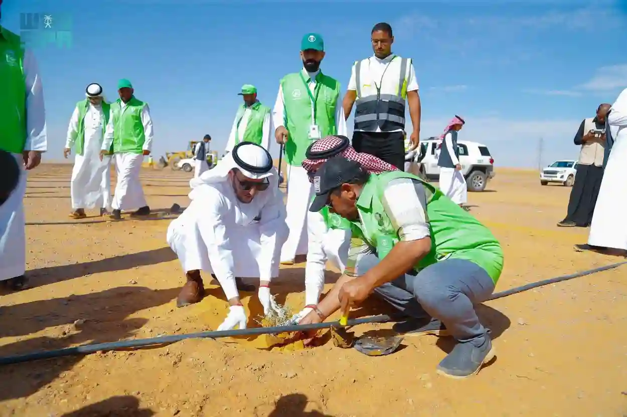 مبادرة جديدة لتشجير الجوف 