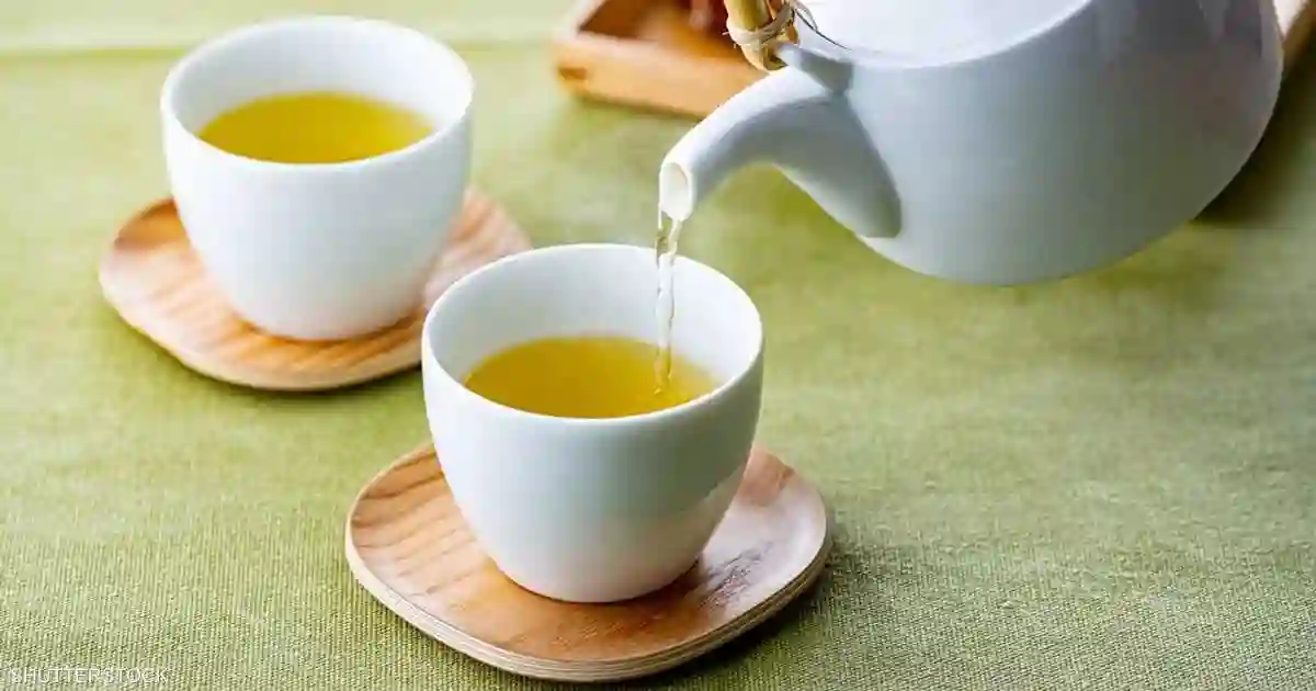 الشاي الأخضر