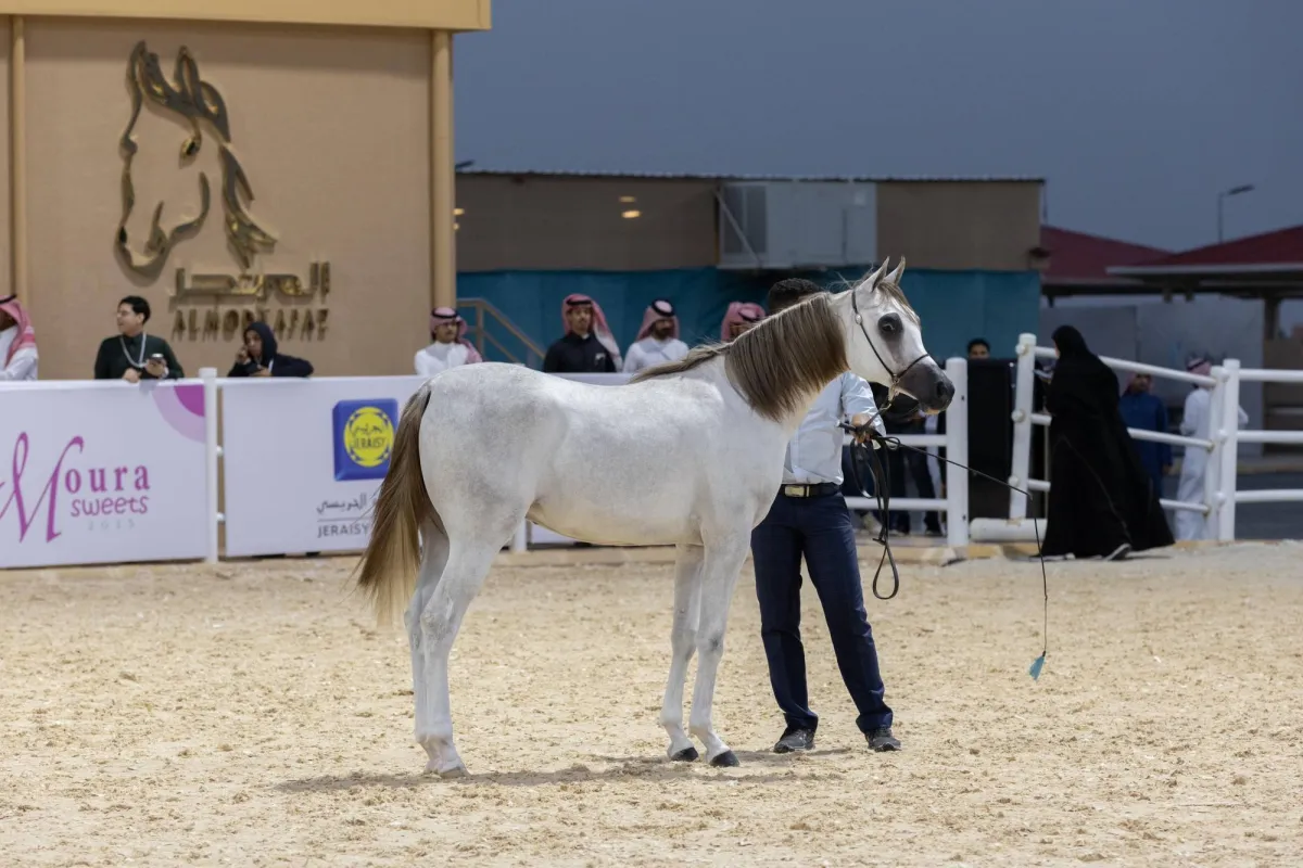  الخيل