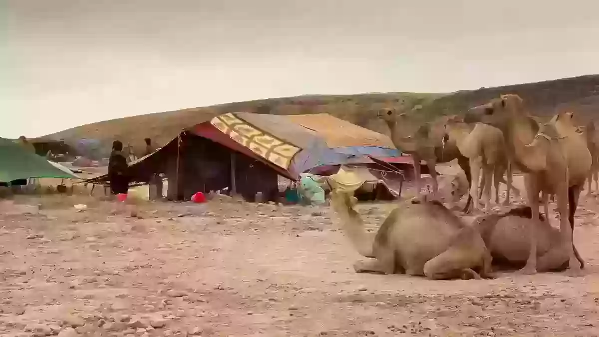 معنى ربط الشماغ بحبل بيت الشعر عند البدو