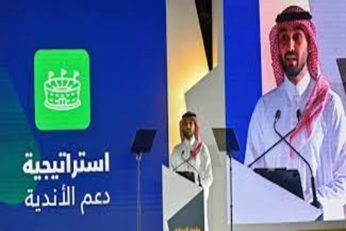 صندوق الاستثمارات
