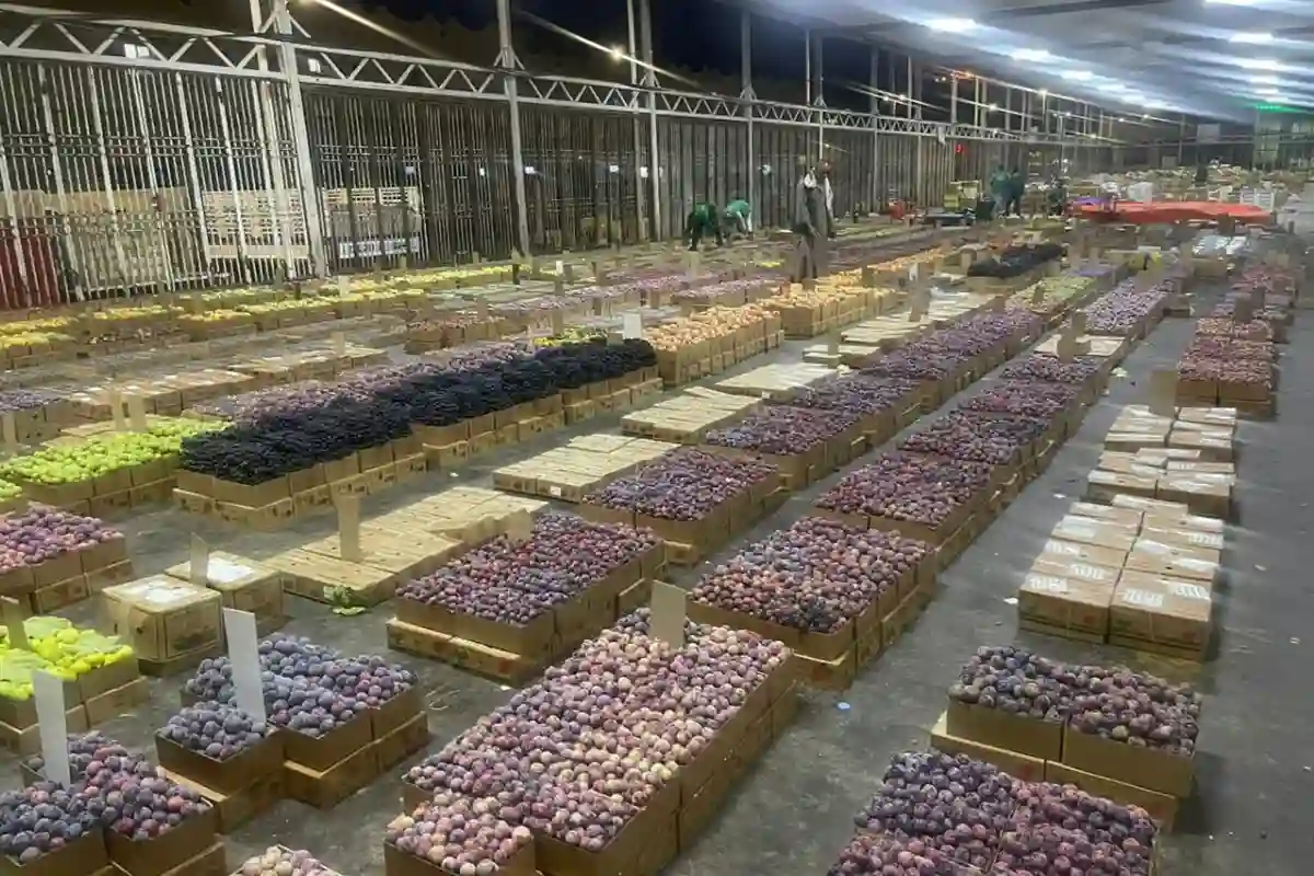 بيئة الطائف