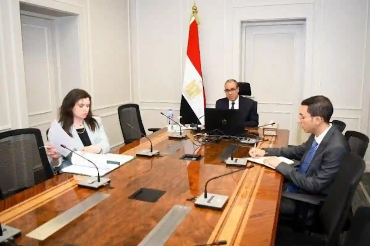 أهمية المشاركة النيابية للمصريين في الخارج وجهود الوزارة لتطوير الخدمات القنصلية