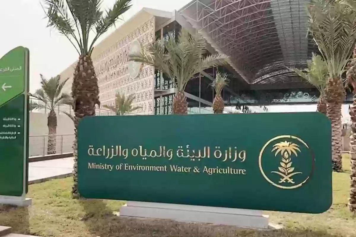نواجه خطر شح المياه في السعودية، ولكن بإمكاننا أن نفعل هذا الأمر
