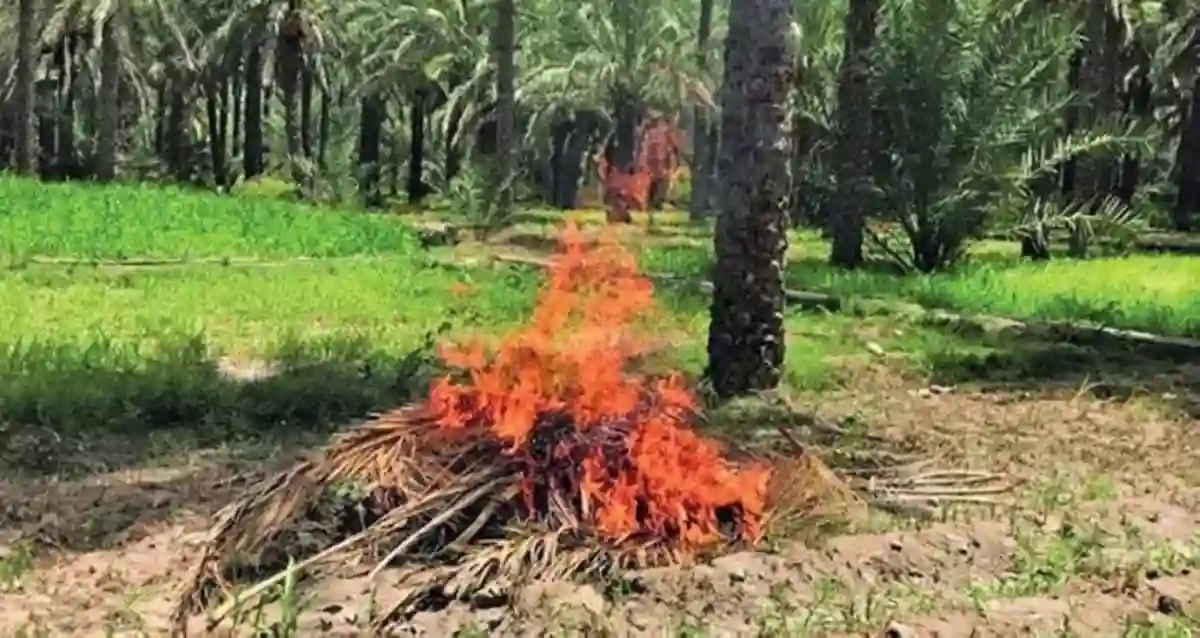 إشعال نار في محمية طبيعية