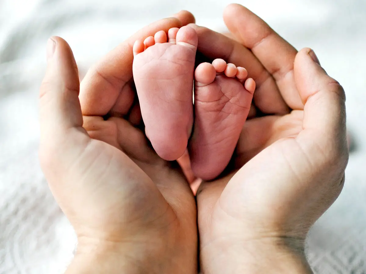 معدل الإنجاب