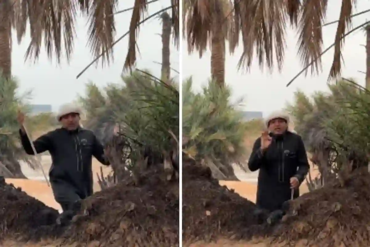 الزعاق 