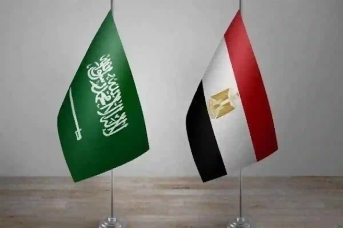 السفير المصري في السعودية يلتقى بوزير الداخلية