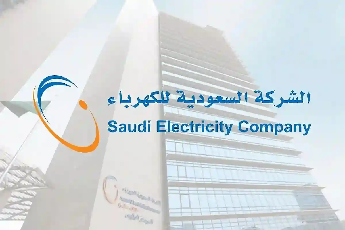 تقييد سداد نصف فاتورة الكهرباء مرتين فقط سنويًا يثير الجدل بين المستفيدين
