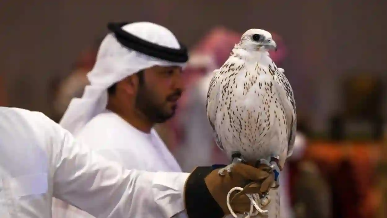 كأس نادي الصقور السعودي