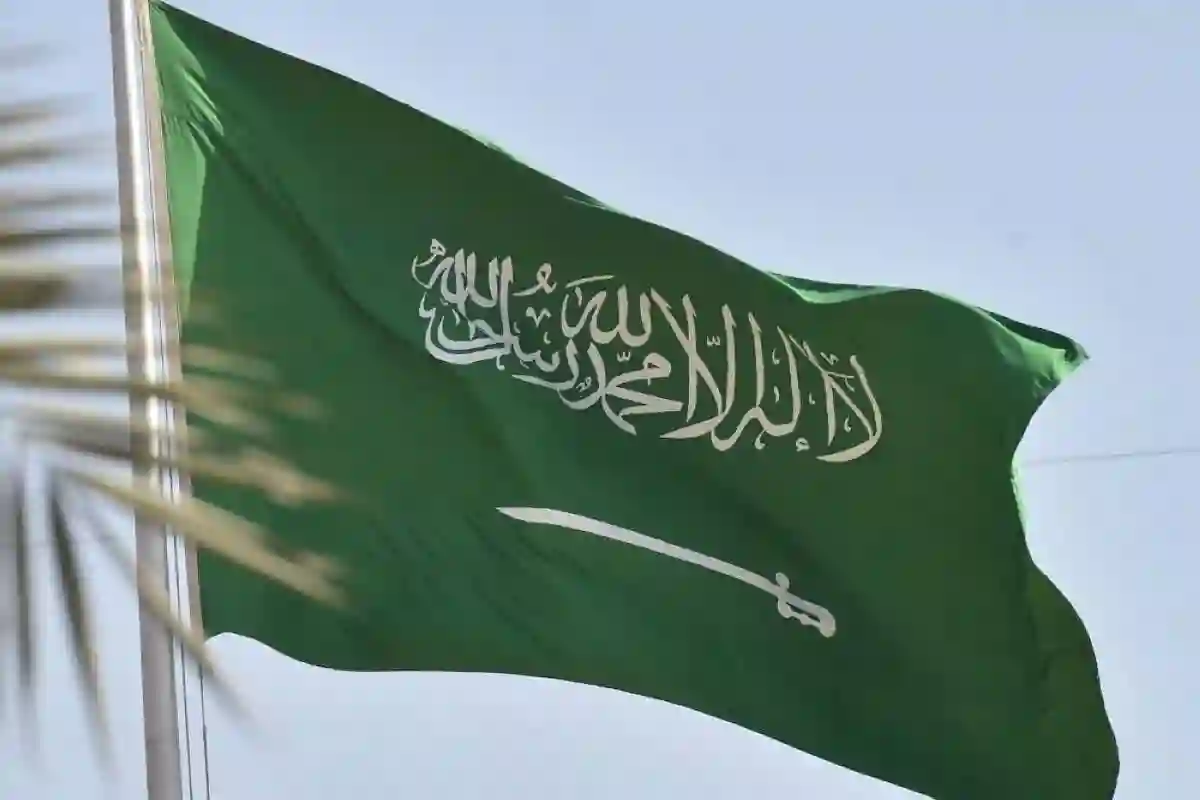 برنامج المعاشات والادخار الجديد في السعودية للمواطنين والمقيمين لتعزيز الادخار المحلي وتقليل التحويلات المالية