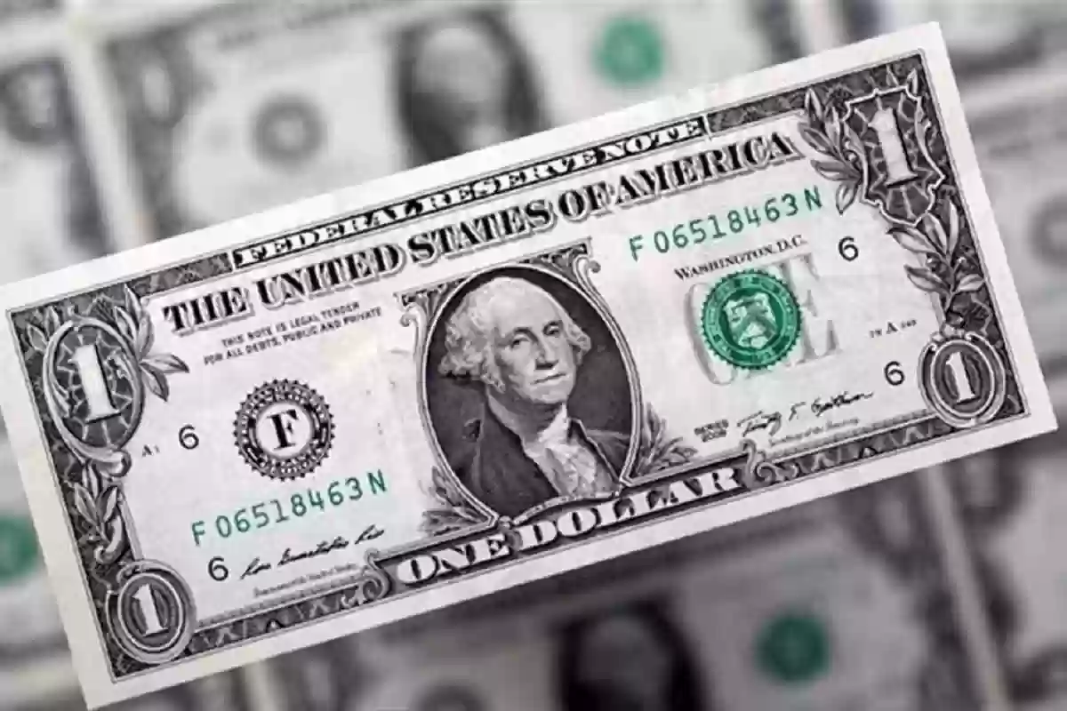 سعر الدولار الأمريكي أمام الجنيه المصري في السوق السوداء 25 ديسمبر
