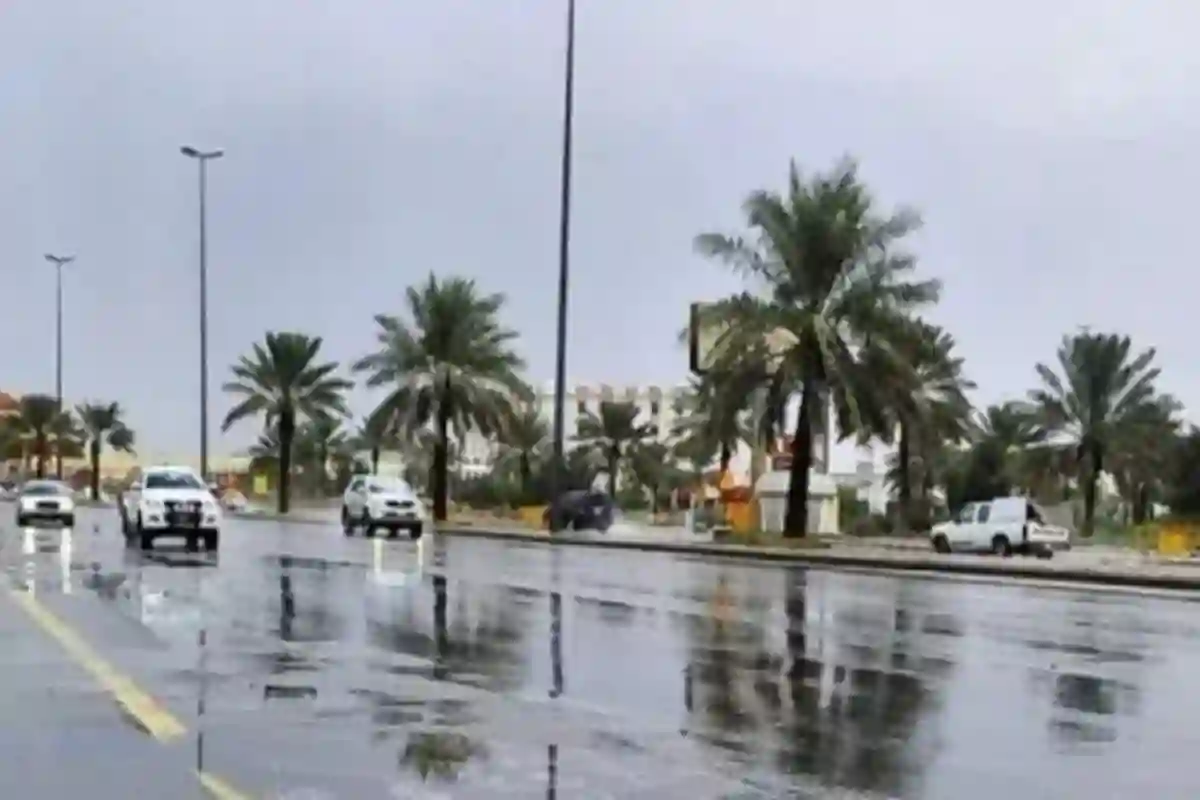 توقعات حالة الطقس اليوم