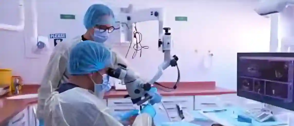 بدء توطين الصيدلة وطب