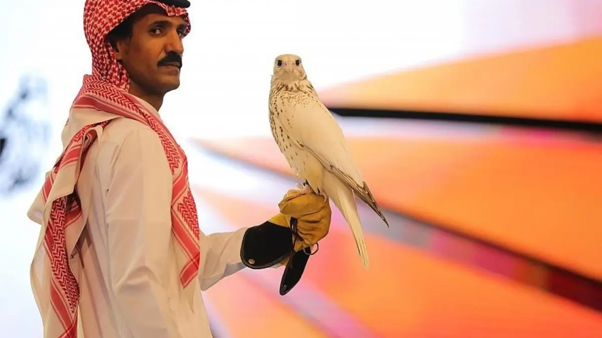 رجل أعمال سعودي يقتني صقرًا نادرًا بمليون و200 ألف ريال 