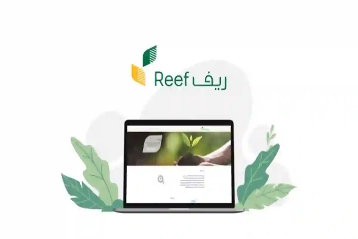 دعم ريف