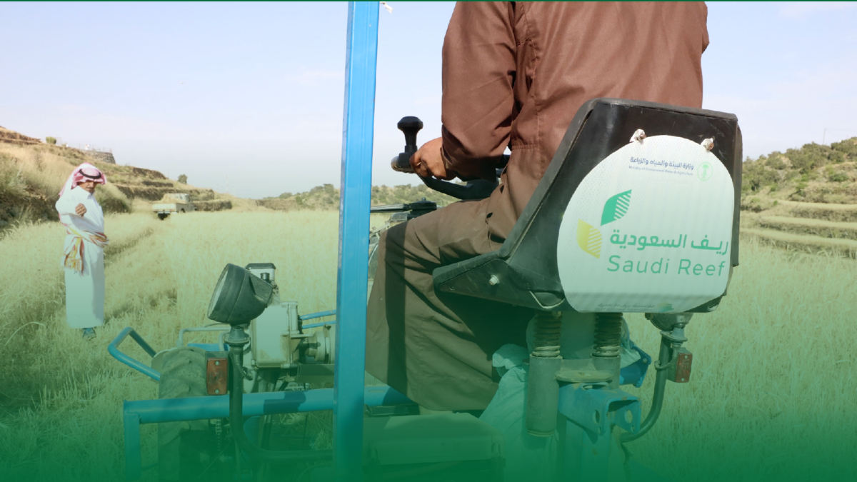 ريف السعودية يزرع 15.5 مليون شتلة لدعم الاستدامة الزراعية وتمكين صغار المزارعين