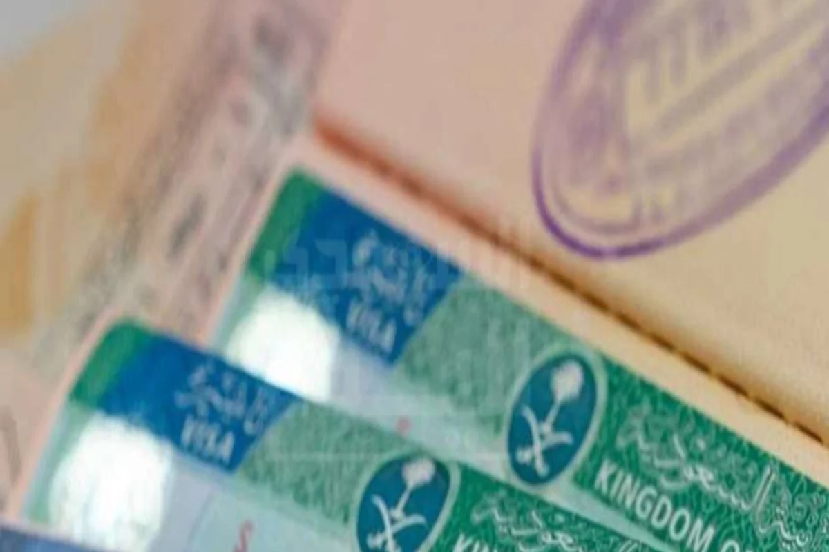 تأشيرة مضيف
