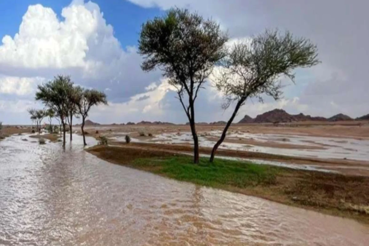 صورة معبرة عن حالة الطقس