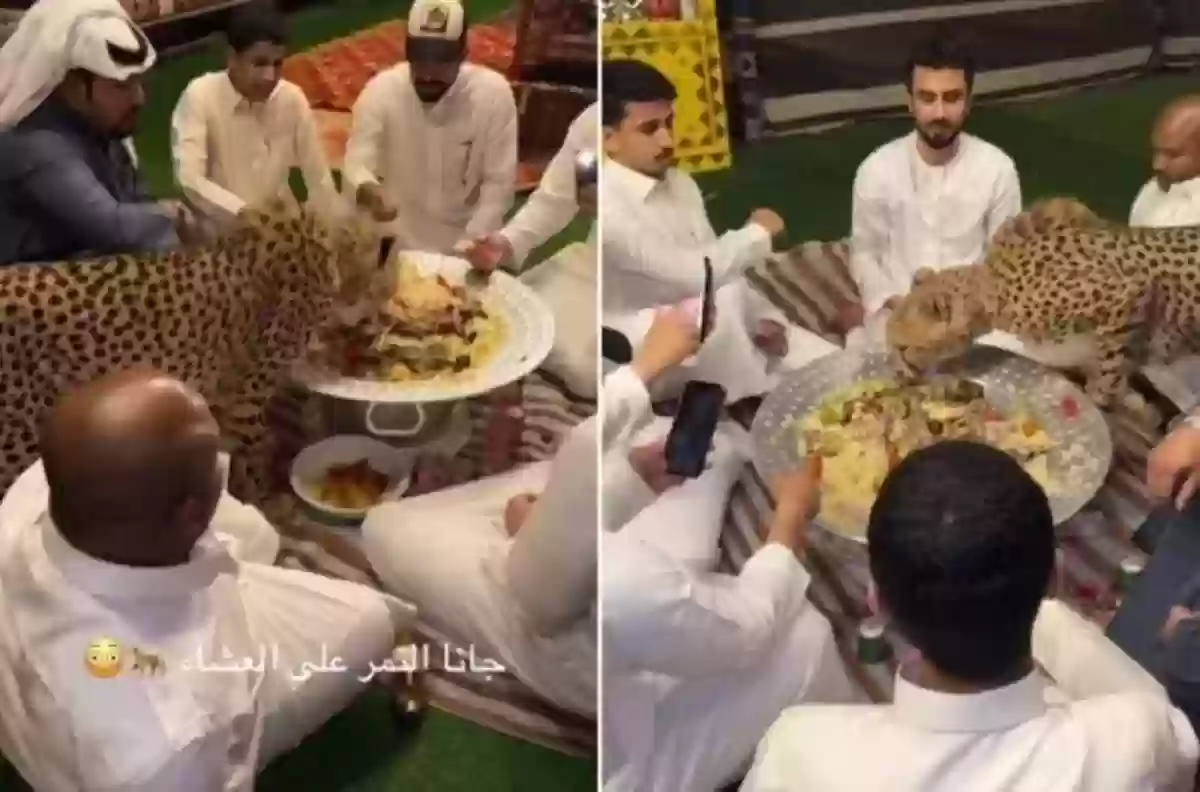 حيوان