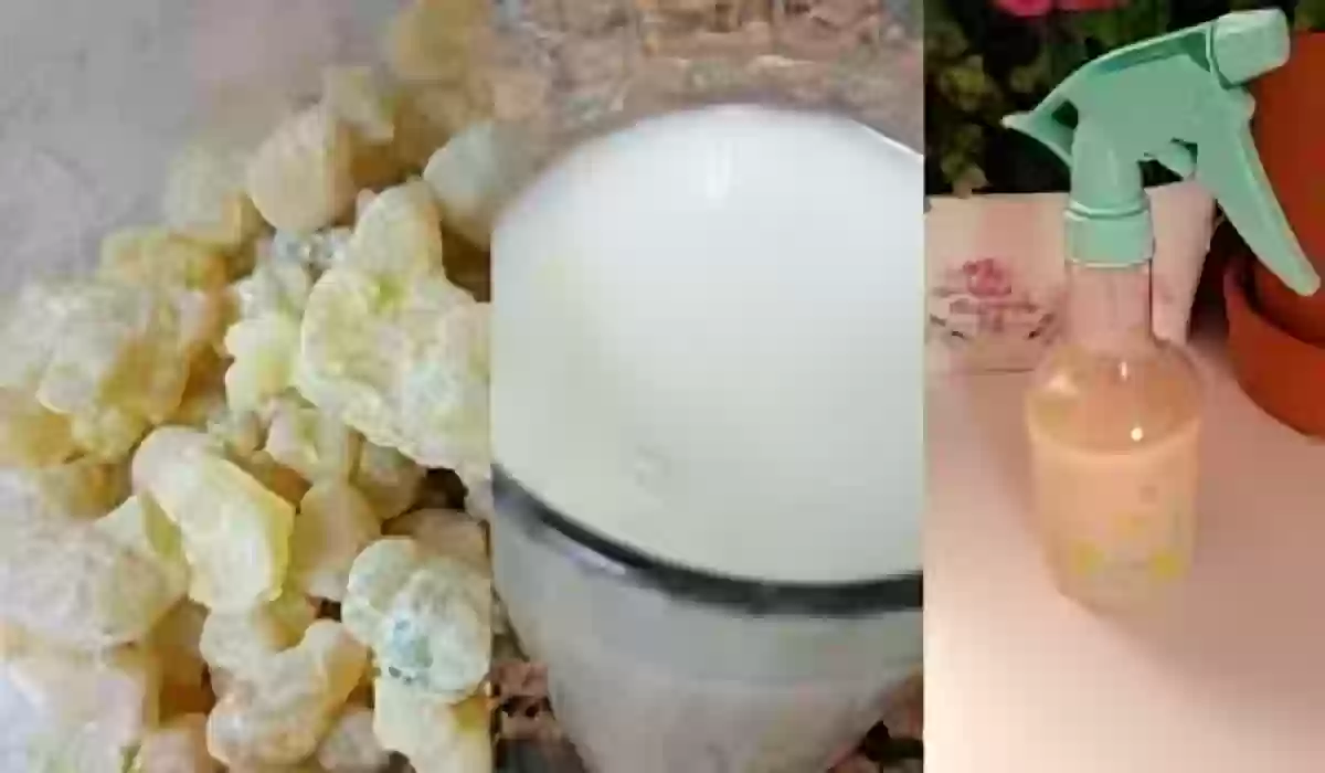 كريم لبان الذكر